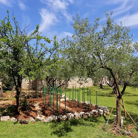 By The Sea Lumbarda, Korcula - 4393