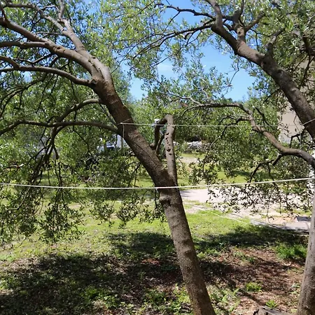 By The Sea Lumbarda, Korcula - 4393 * Lumbarda