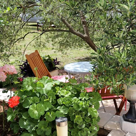 By The Sea Lumbarda, Korcula - 4393 *