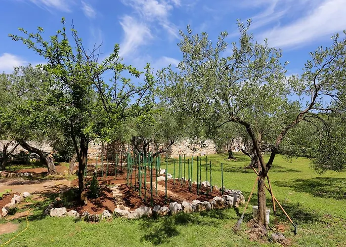 By The Sea Lumbarda, Korcula - 4393