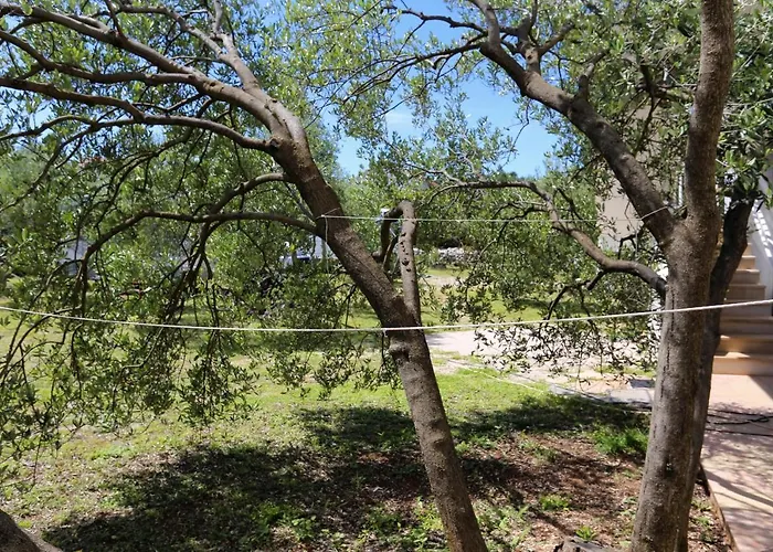 By The Sea Lumbarda, Korcula - 4393 * 룸바르다